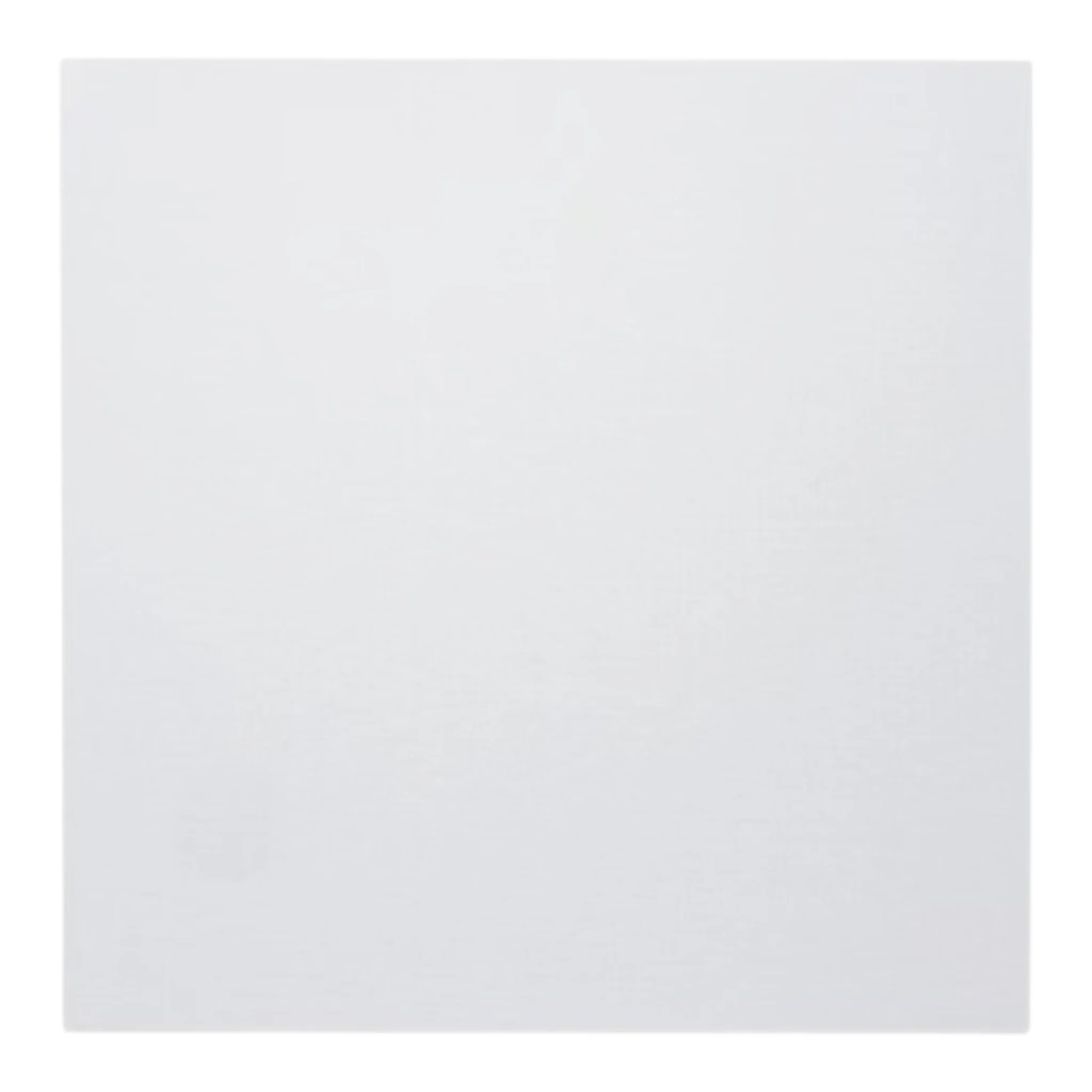 Artists Canvas Board 12X12