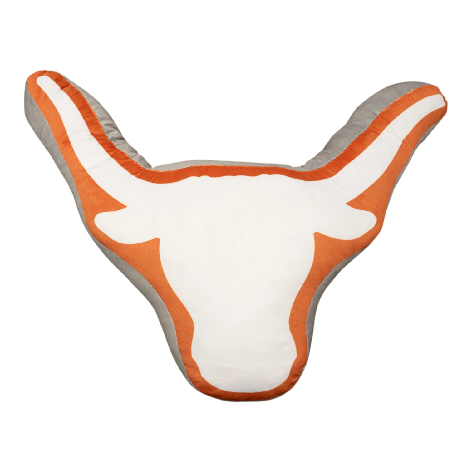 Texas Longhorns Pillow
