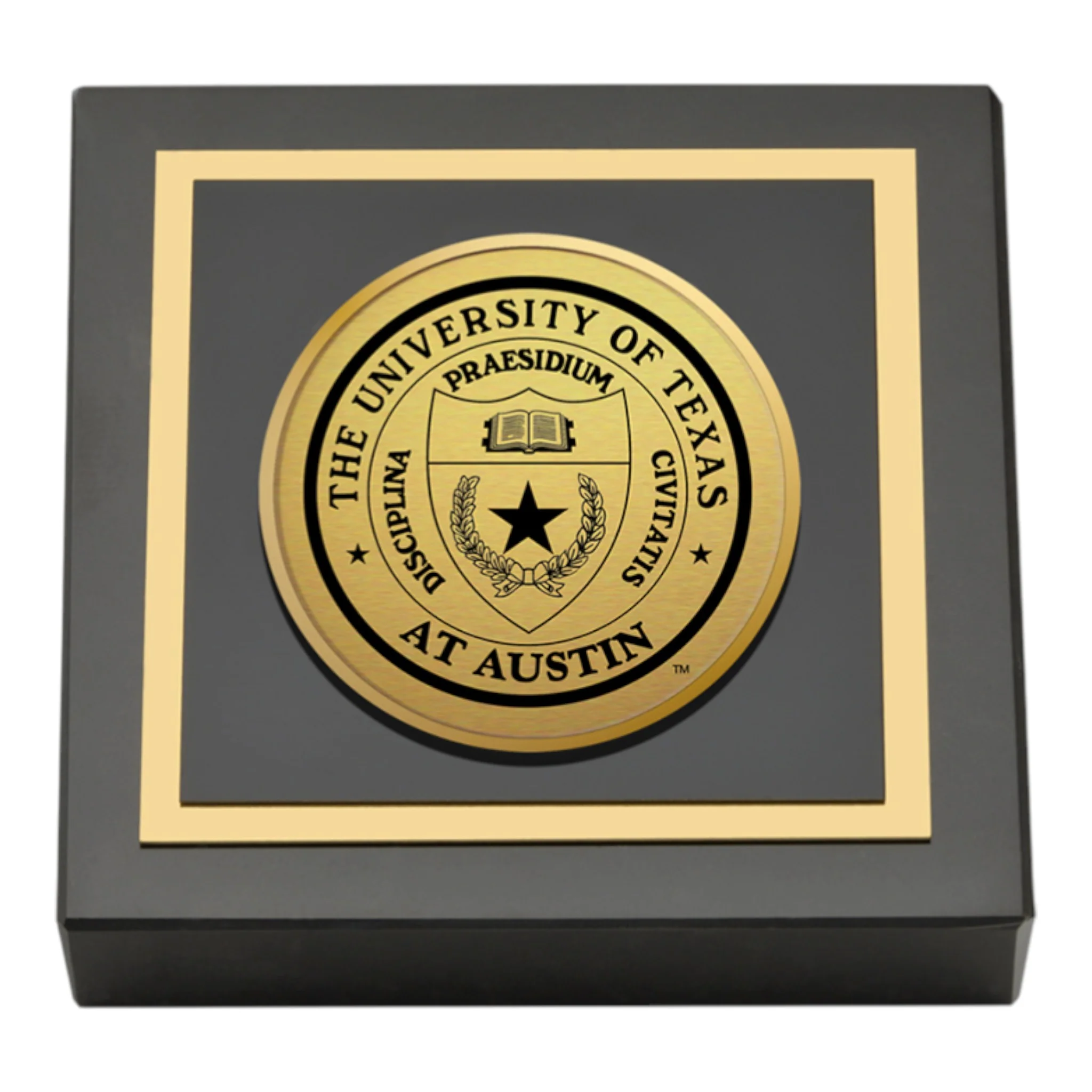 University of Texas at Austin Medallion Paperweight - Image 3