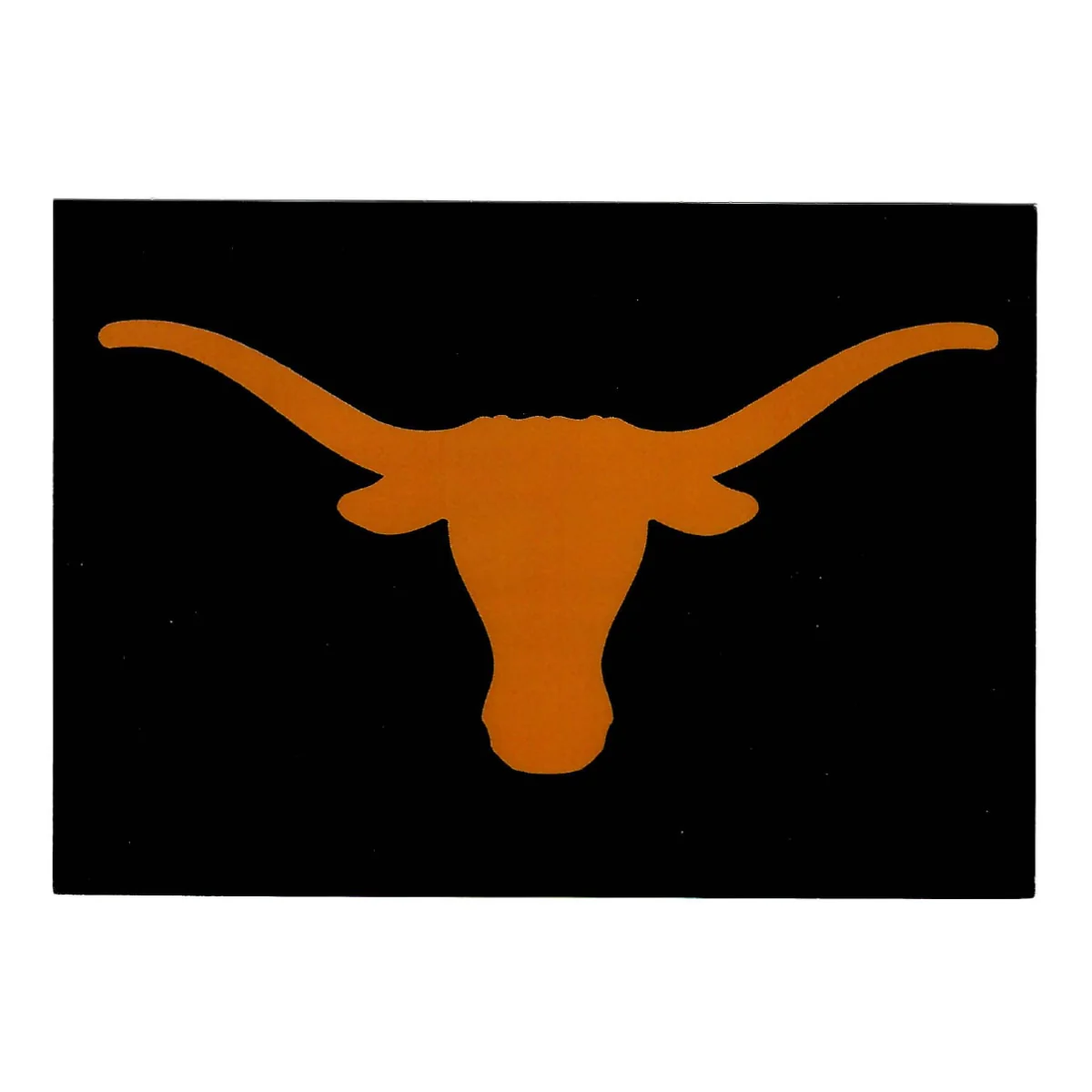 University of Texas Longhorn Postcard